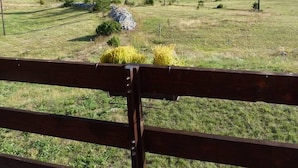 Photo non classée, 4 sur 36, bouton
