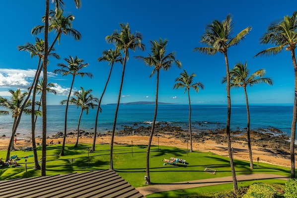 A tropical resort with palm trees, a golf course, and a view of the ocean.