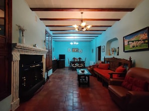 TV, fireplace, books