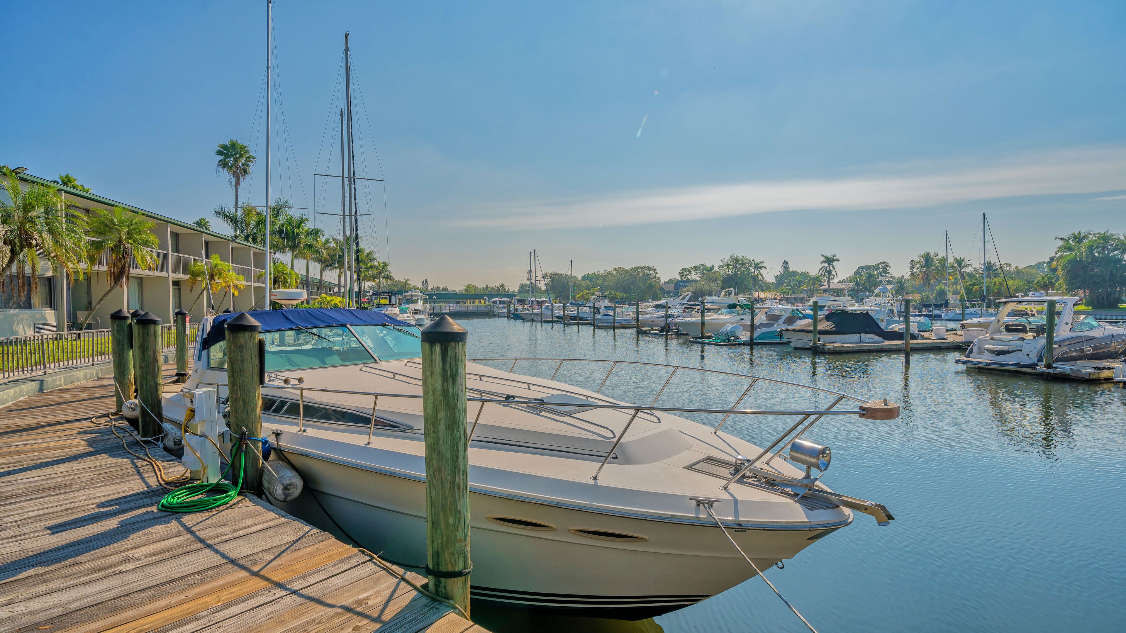 A marina with boats docked, wooden walkways, and palm trees in the background.