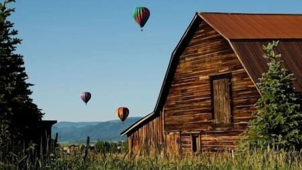 A rustic wooden barn with a sloped roof, surrounded by tall grass and trees.