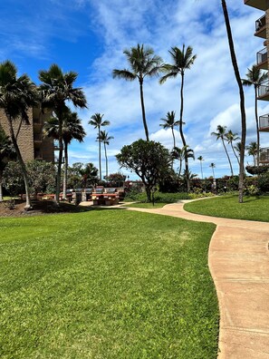 A pathway leading through a well-maintained grassy area with palm trees and a building with balconies.