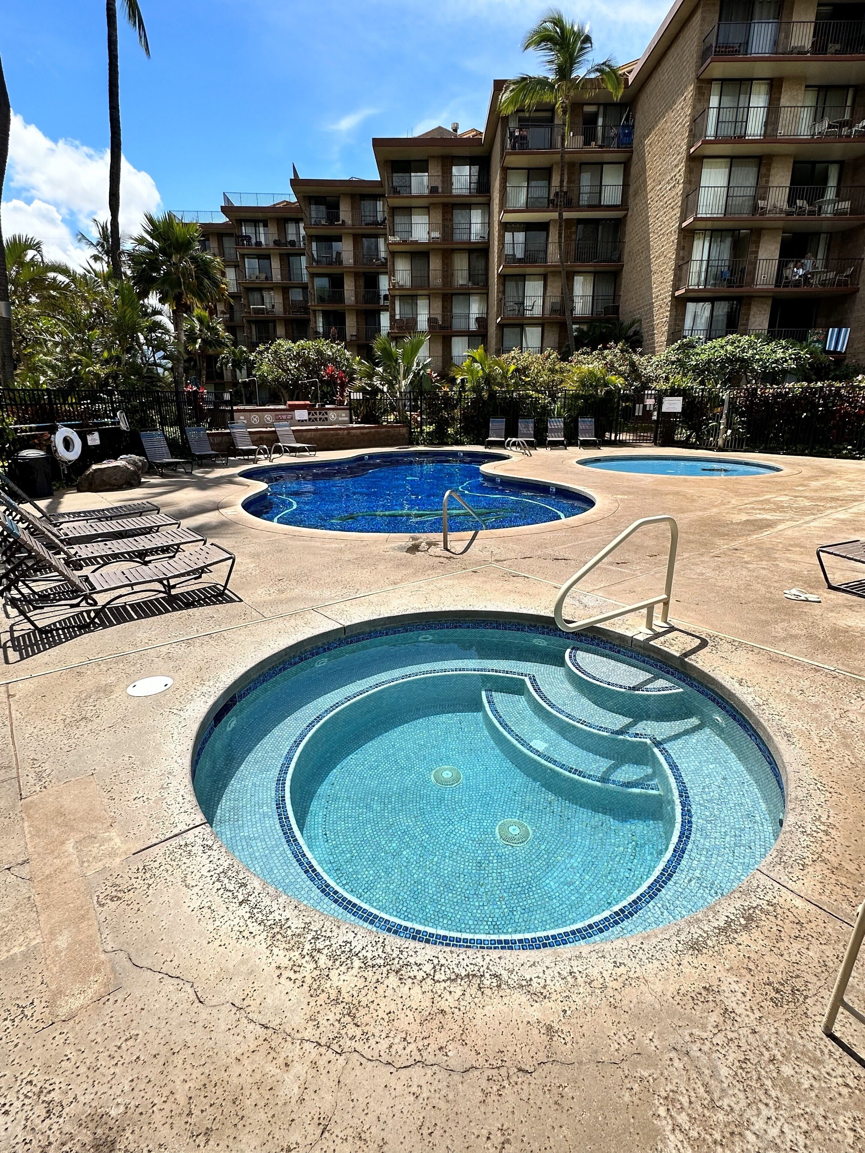 A swimming pool with a tiled edge, surrounded by lounge chairs and a palm tree.