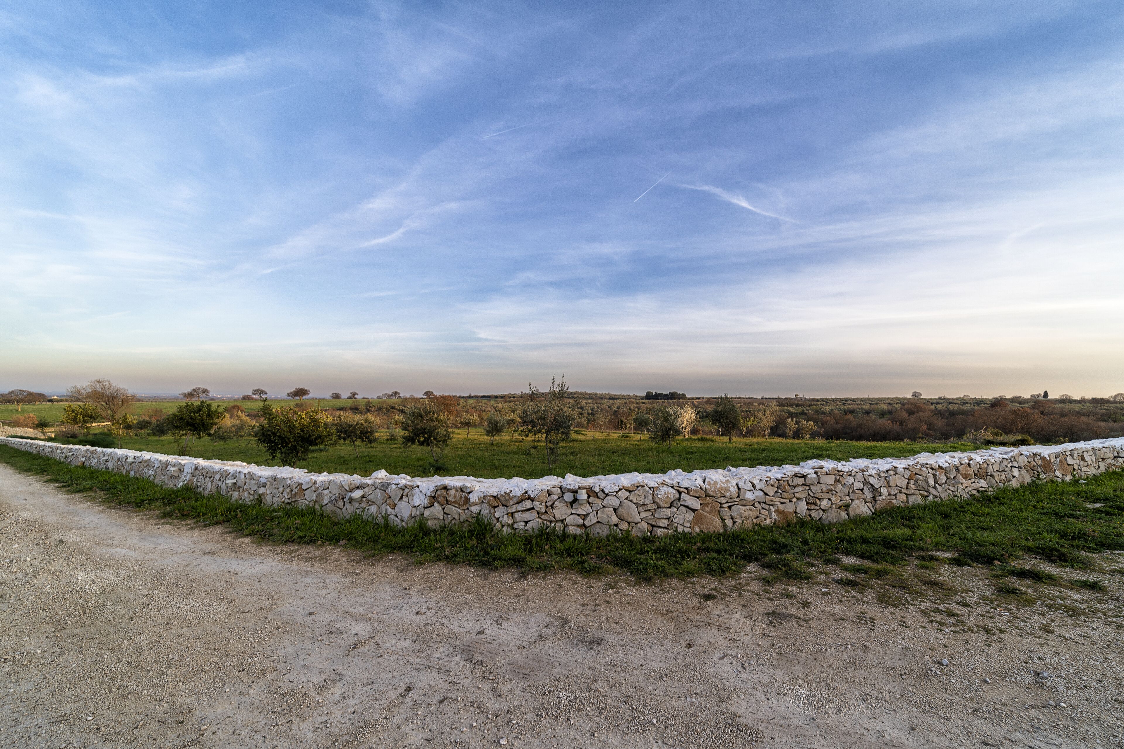 A rural landscape with a dirt path, stone wall, and distant trees under a clear sky.