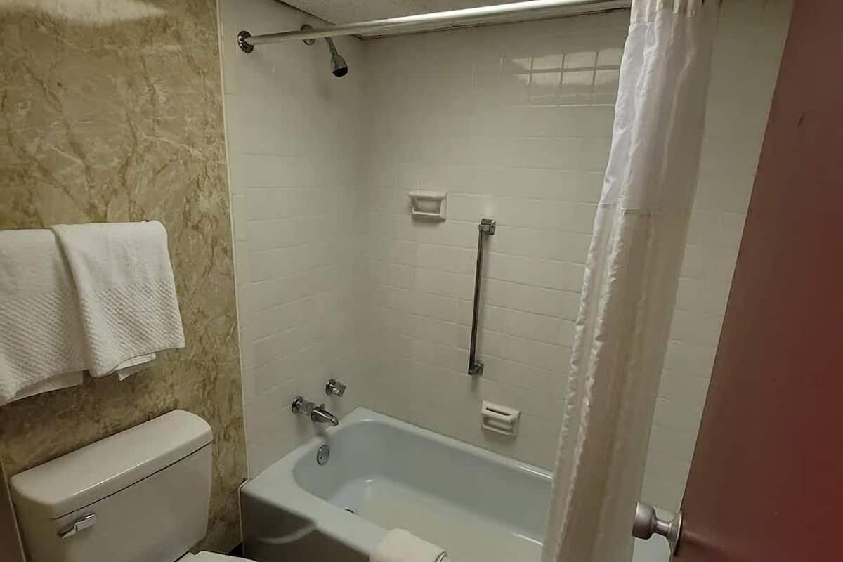 Articles de toilette gratuits, serviettes fournies, savon, shampoing