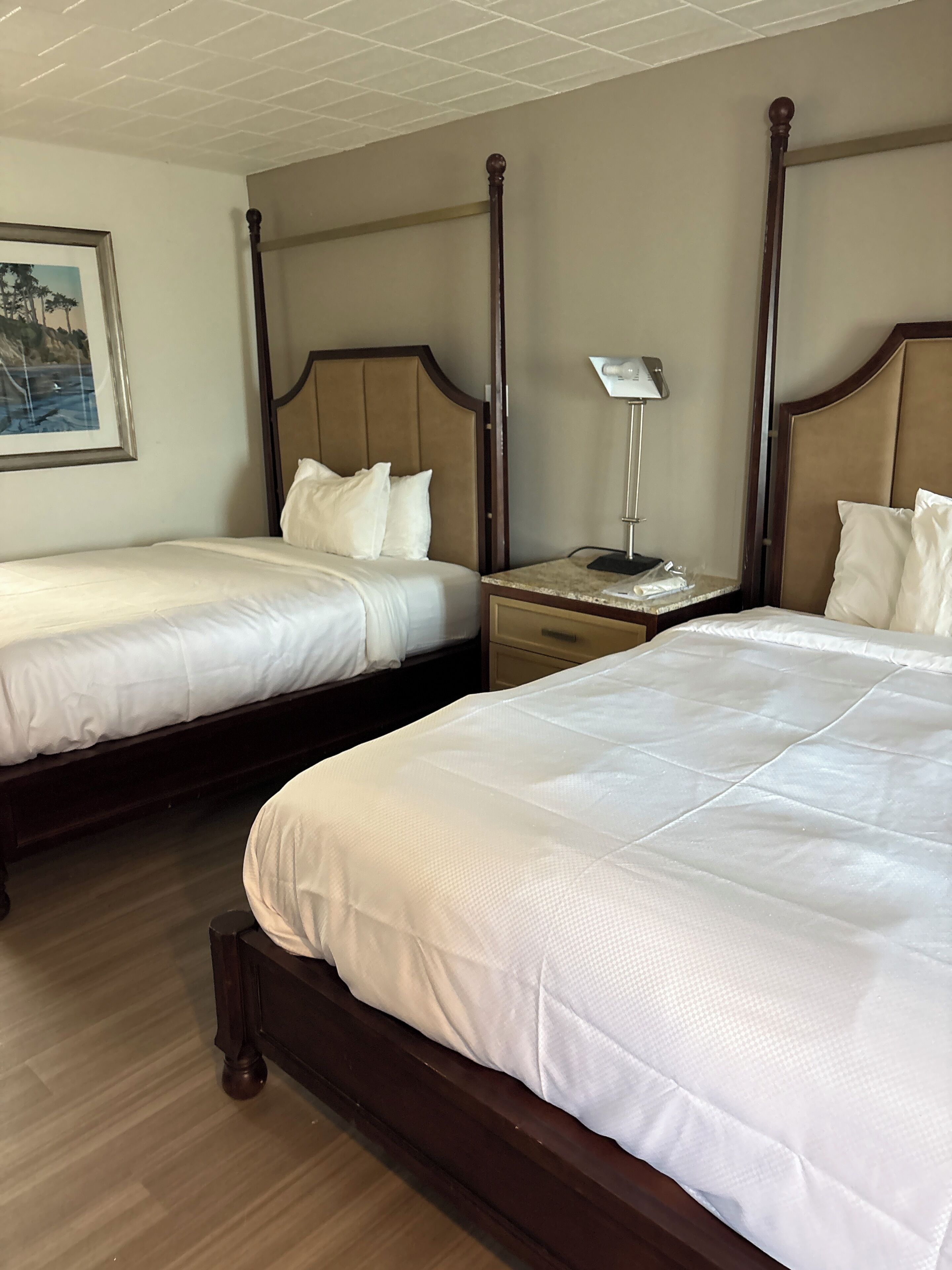Standard Single Room | WiFi (free), bed sheets