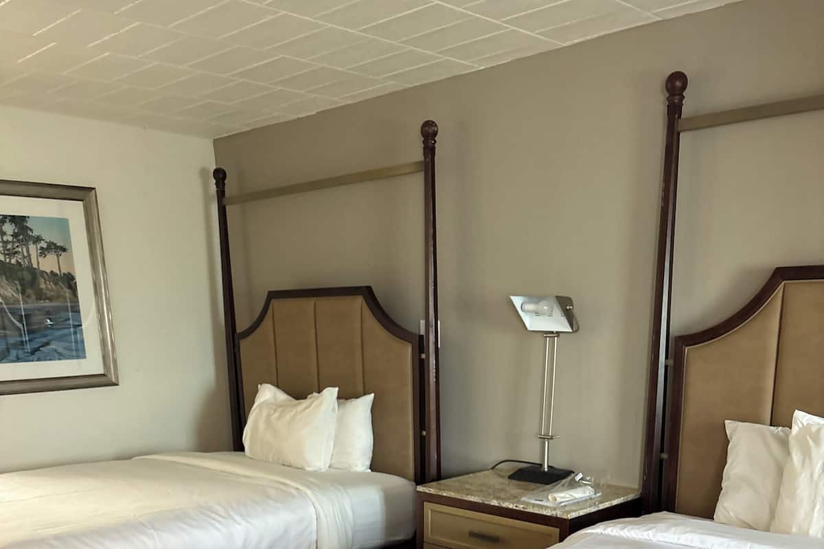 Standard Single Room | WiFi (free), bed sheets