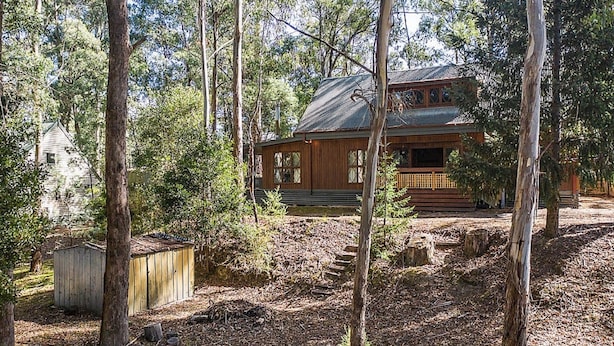 Een houten chalet, omgeven door bomen en een kleine schuur.
