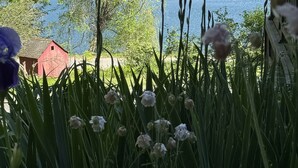 Ein See mit umgebender Vegetation und ein rotes Gebäude im Hintergrund.