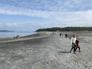 Sun loungers, beach towels