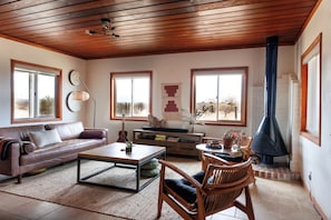 Caminetto, libri, impianto stereo, monitor per computer