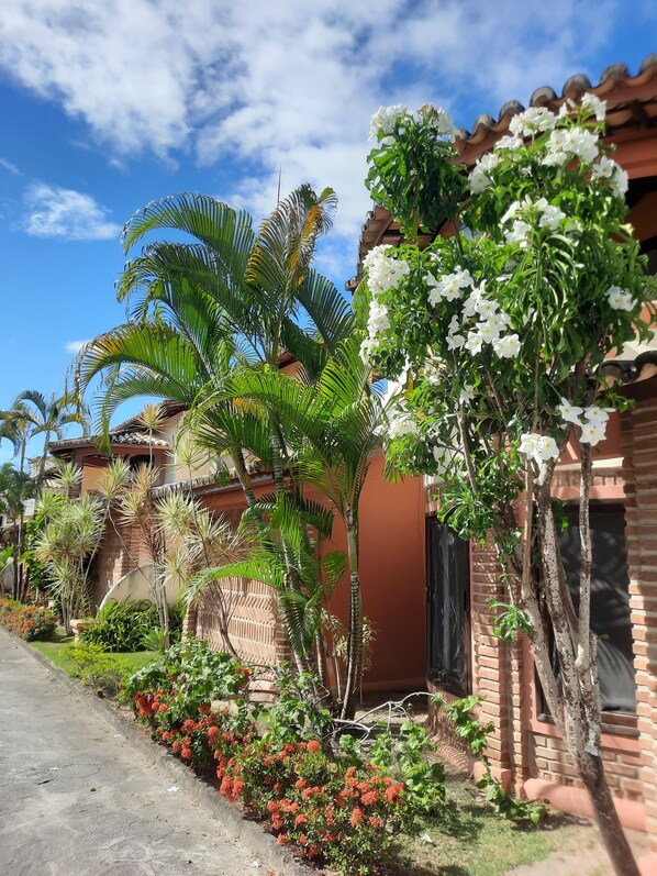 A residential area with a paved road, palm trees, and flowering plants. - Beautiful house in Porto Seguro, 100 meters from Taperapuan beach. (Porto Seguro)