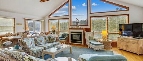 TV, video-game console, DVD player, books