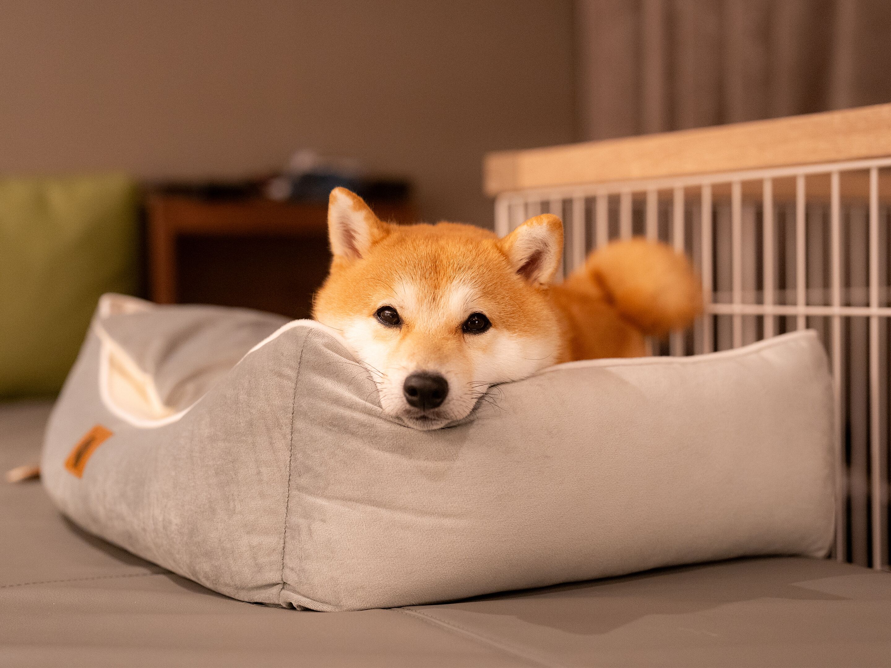 客房