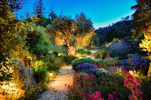 Un vialetto in giardino circondato da piante e alberi.