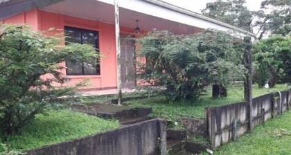 Finca Eco-amigable La Amistad procesos de producción orgánicos