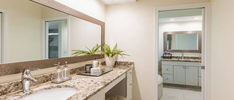 A modern bathroom with a large mirror, granite countertop, and a potted plant.
