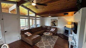 Smart TV, fireplace, video games, DVD player