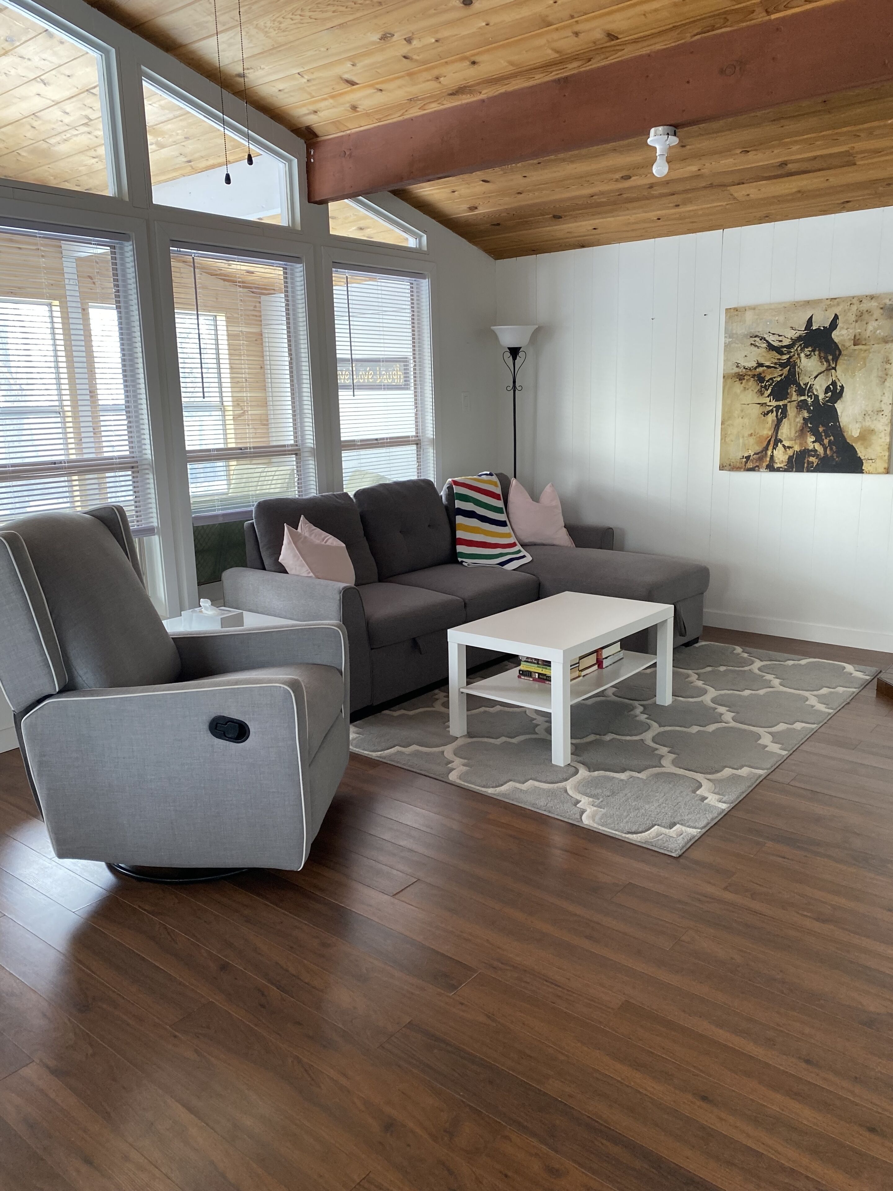 Smart TV, fireplace, video games, DVD player