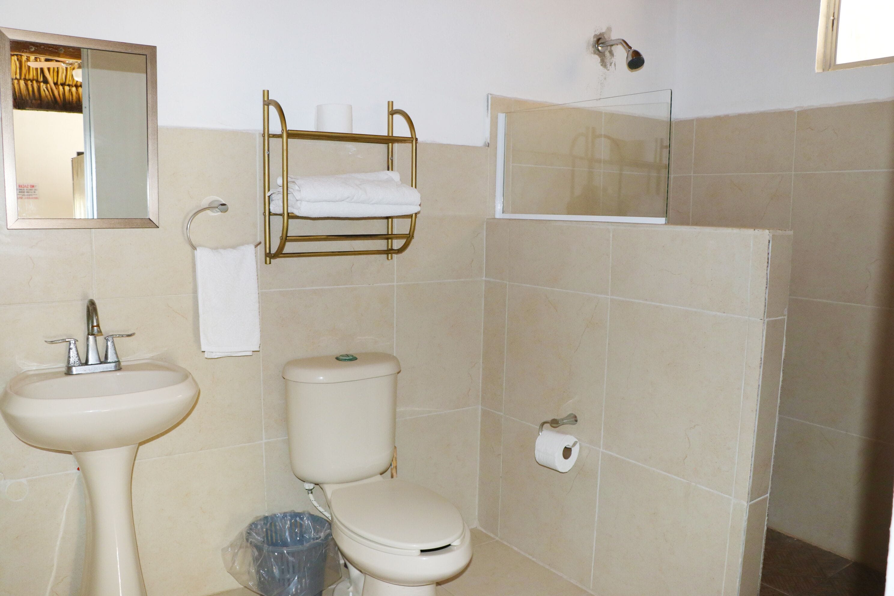 Une salle de bain avec un lavabo, des toilettes et une douche.