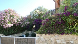 A stone wall with a gate, surrounded by lush greenery and flowering plants. - Villa Ursula, 10 beds, 4 bedrooms, 4 bathrooms, sea view (San Teodoro)