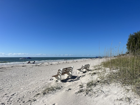 Plage à proximité, chaises longues, serviettes de plage