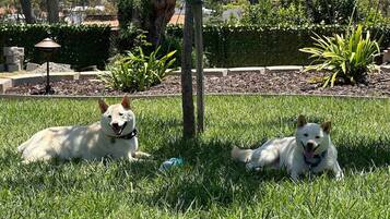 Áreas de la propiedad