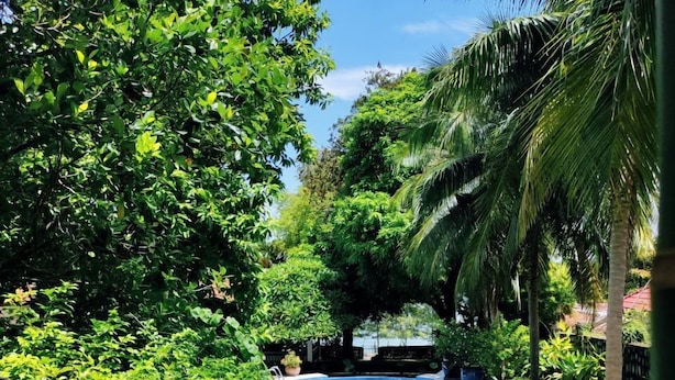 A swimming pool surrounded by lush greenery and palm trees. - Sabbay Kep (Kep)