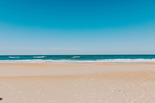 SALE: Professionally Designed Oasis! Pup Friendly, Walk-in Shower, Pools!