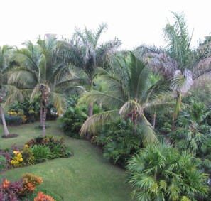 Property grounds - 2BR Grand Mayan - Legendary Vidanta Luxury! HOLIDAY DATES AVAILABLE! (Playa del Carmen Riviera Maya)