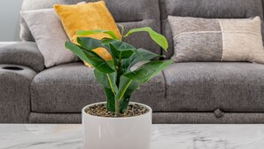 A living room with a grey sofa, a yellow pillow, and a potted plant on a marble table. - Exquisite Downtown Loft Apartment (Hartford)