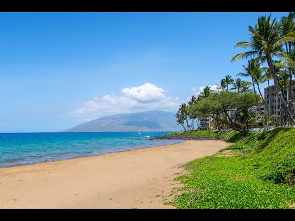 Enjoy a serene beachside retreat with access to the ocean and lush surroundings.