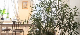 Holiday Apartment "150 Qm Luxus Im Zentrum" with Home Office Space & Wi-Fi