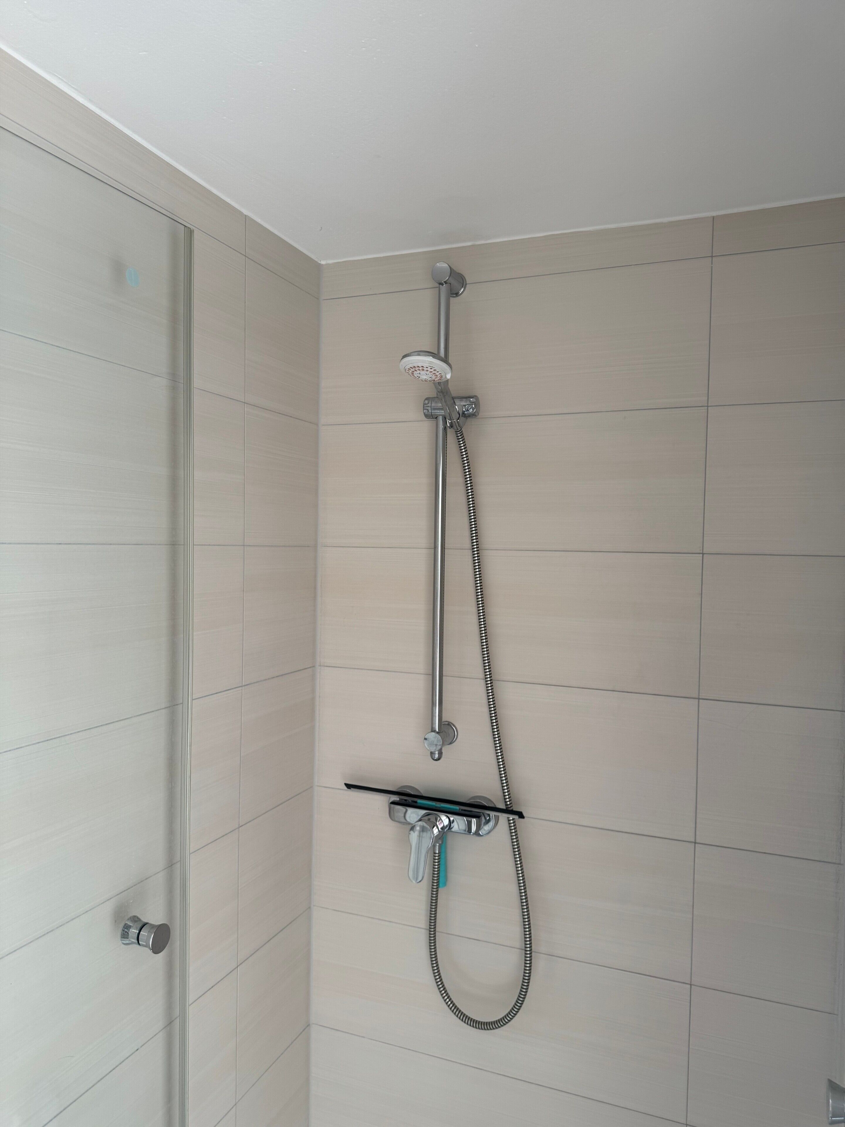 Une douche équipée d’un pommeau de douche et d’un flexible à main.