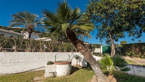 A garden with palm trees, a white wall, and a stone pathway. - Palm Villa - Seaside Vacation (Muravera)