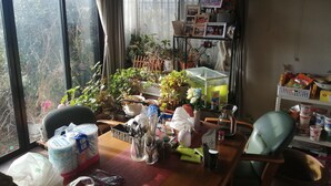 A room with a large window, a wooden table with various items, a chair, and a shelf with framed photos. - Full House Miyajima (Hatsukaichi)