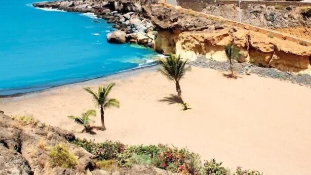 A coastal hotel with a rocky shoreline, palm trees, and a clear view of the ocean. - 422 Quiet, beautiful flat with sea view, wifi (Playa Paraiso)