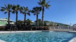 Une piscine à l’eau claire, entourée de palmiers et d’une clôture.