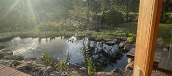 Tweed Hinterland Eco-Cabin