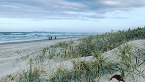 Une plage avec des dunes de sable et une végétation clairsemée.