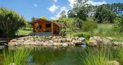 Tweed Hinterland Eco-Cabin