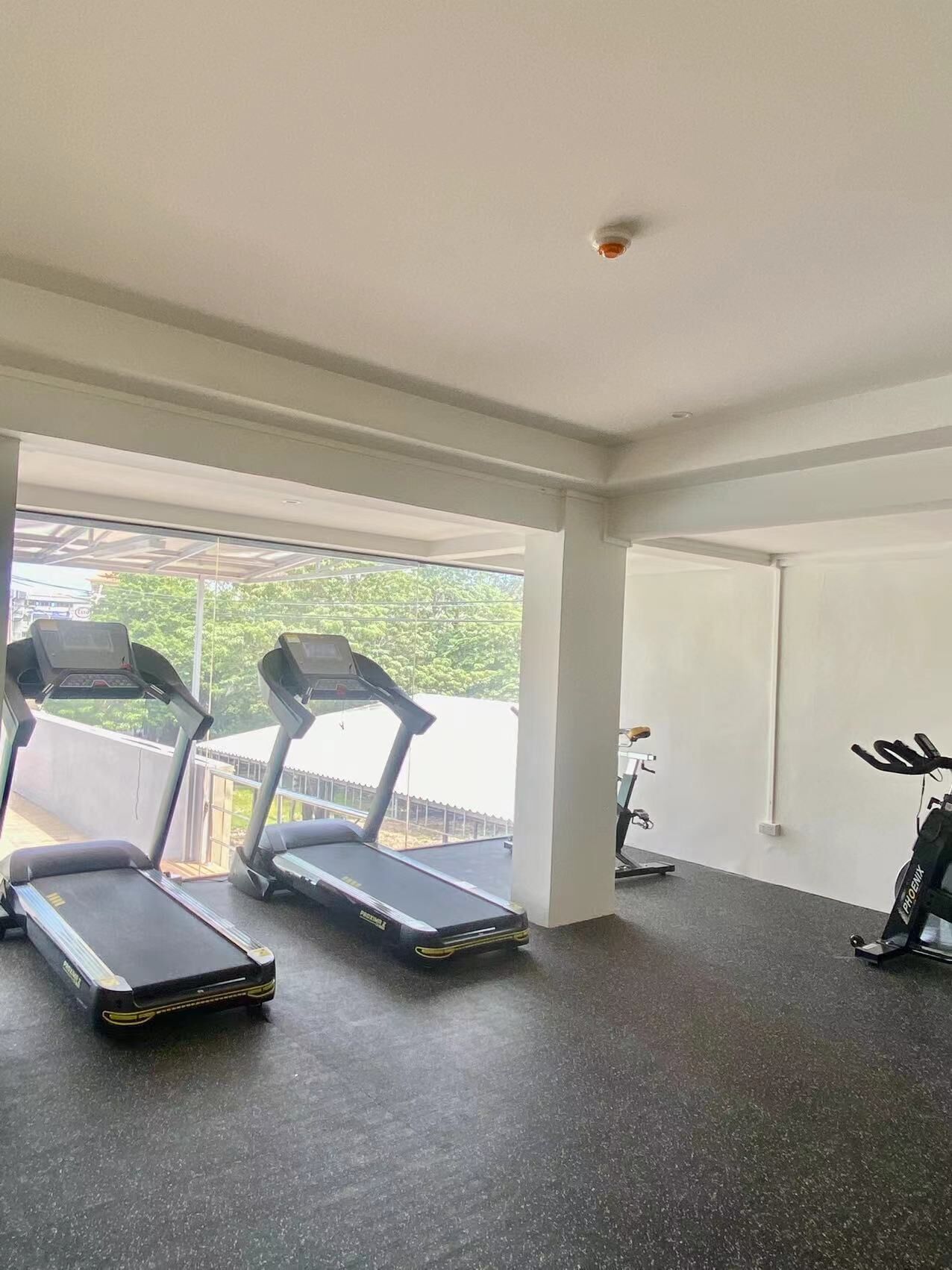 A gym with treadmills and a stationary bike.