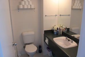 Une salle de bain équipée de toilettes, d’un lavabo et d’un miroir. On y trouve un porte-rouleau de papier toilette placé sur une étagère au-dessus des toilettes, un sèche-mains et une poubelle.