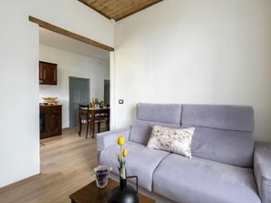 Fernseher, Kamin