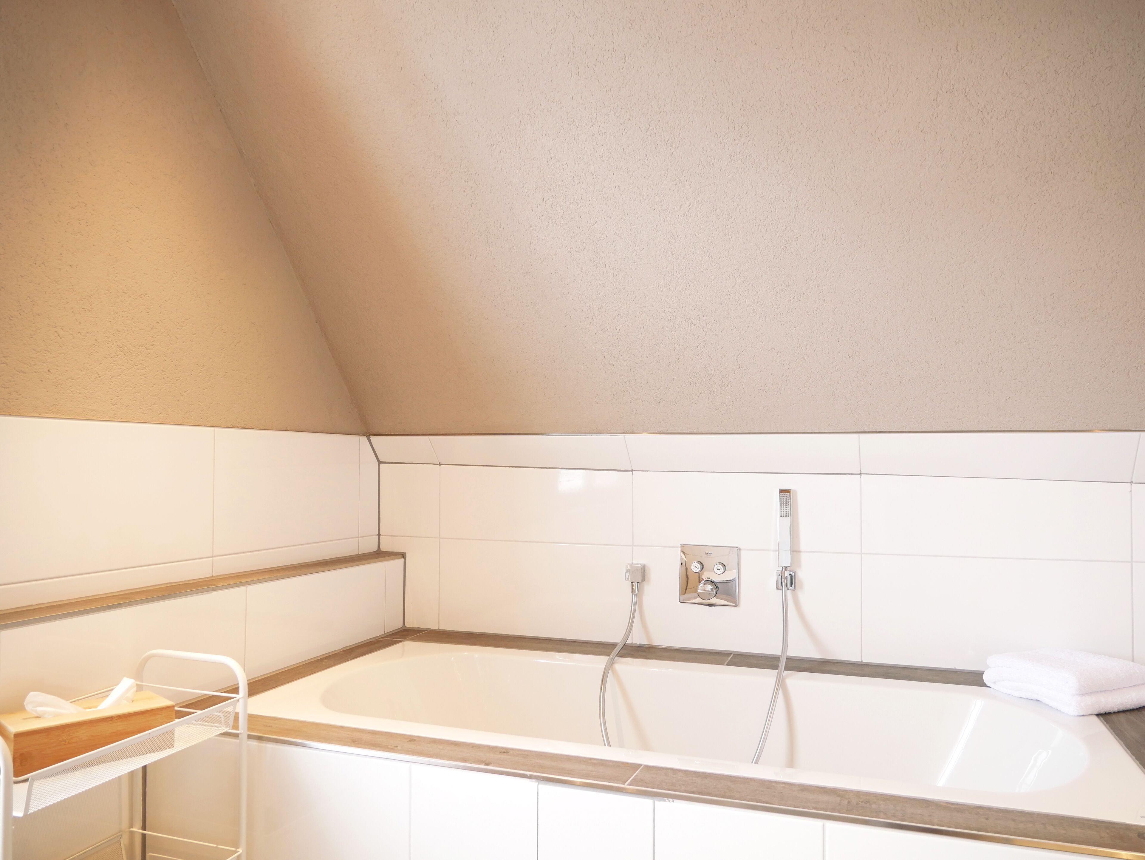 Une salle de bain moderne avec une baignoire sur pieds, un porte-serviettes et une étagère avec un boîte de mouchoirs.