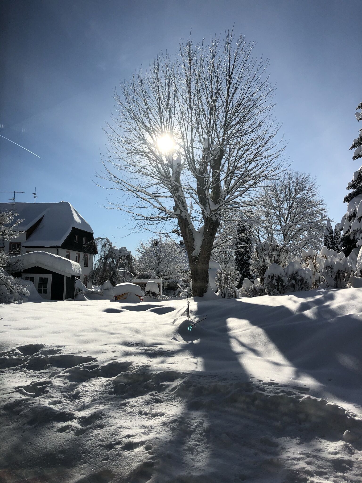 Eksteriør