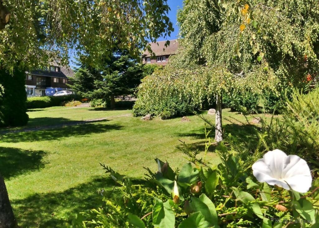 A well-maintained garden with a lawn, a variety of shrubs, and a prominent white flower in the foreground.