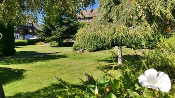 Ein gepflegter Garten mit Rasen, verschiedenen Sträuchern und einer auffälligen weißen Blüte im Vordergrund.