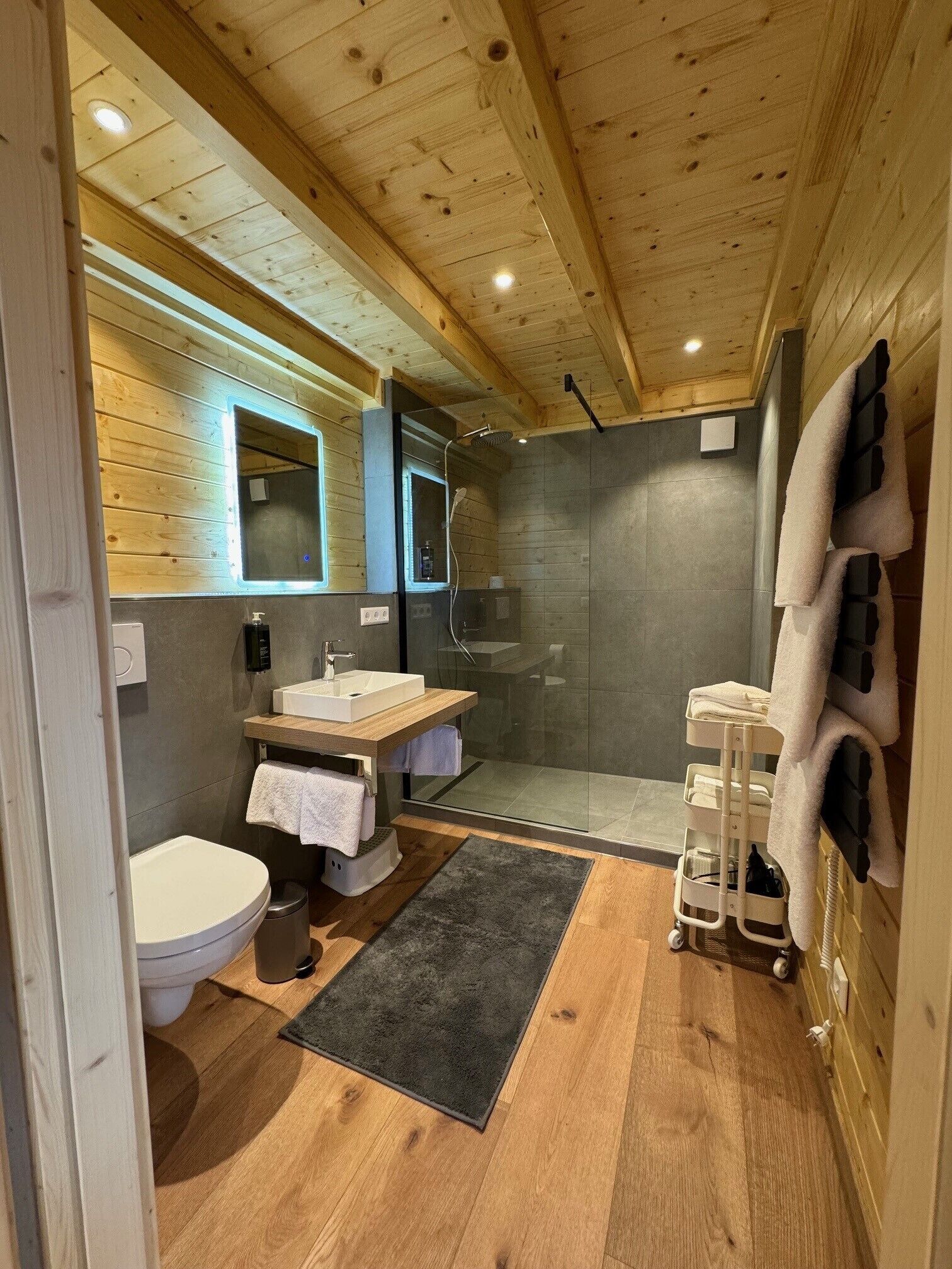 Ein modernes Badezimmer mit Holzbalkendecke, einer Duschkabine aus Glas, einem weißen Waschbecken und einer Toilette.