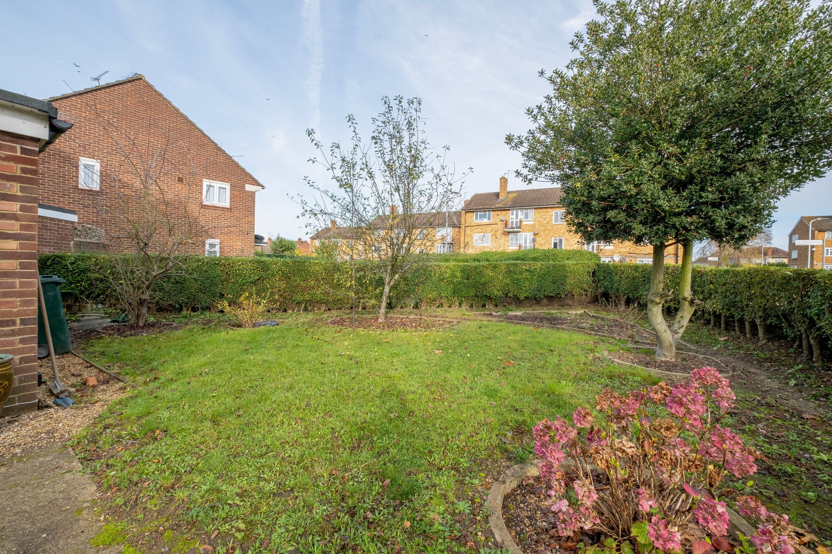 A residential garden with a brick house, a tree, and a hedge.